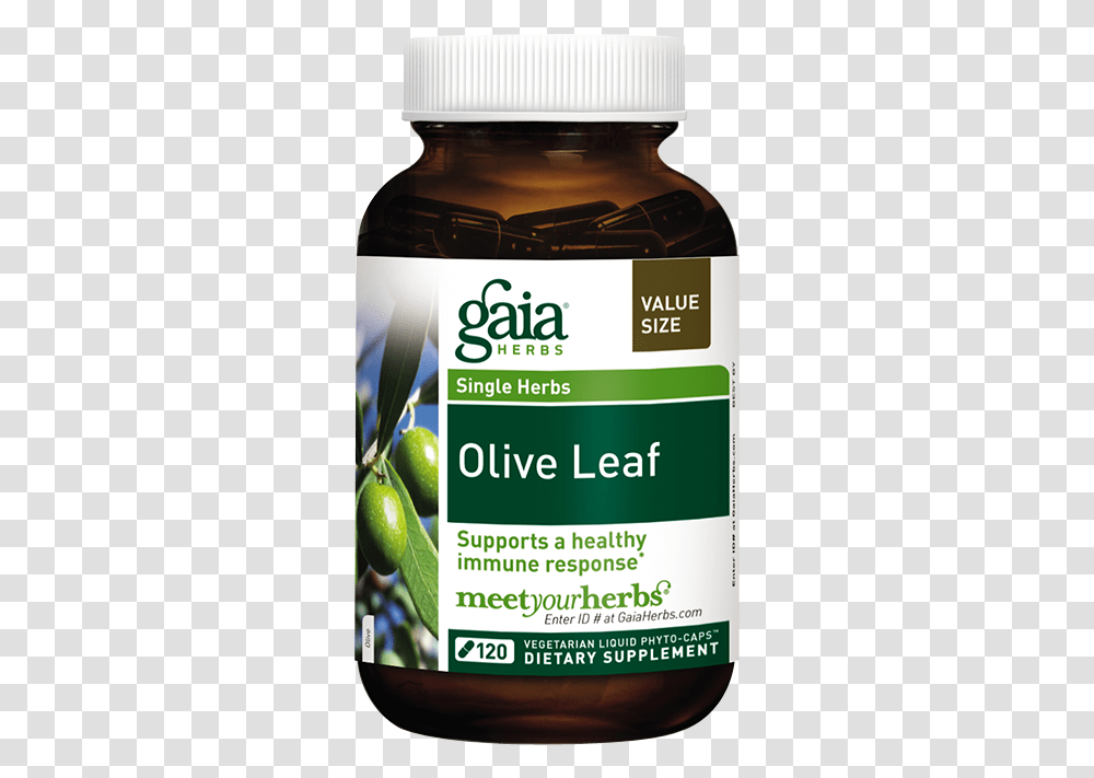 Gaia Olive Leaf 120 Liquid Filled Capsules Gaia Thyroid Support, Plant, Lime, Citrus Fruit, Food Transparent Png