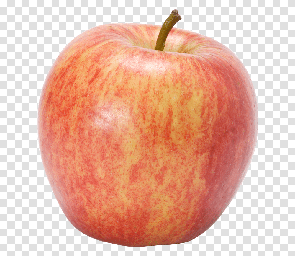 Gala Apples Picture 390615 Honeycrisp Apple Background, Fruit, Plant, Food Transparent Png