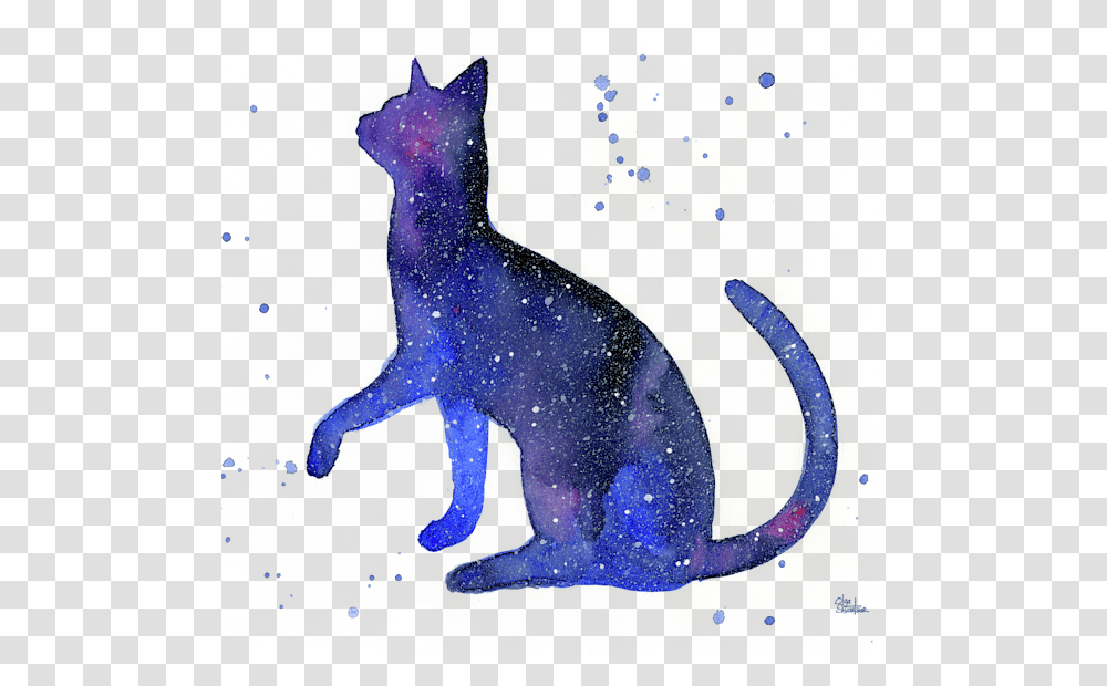 Galaxy Cat, Pet, Mammal, Animal, Egyptian Cat Transparent Png