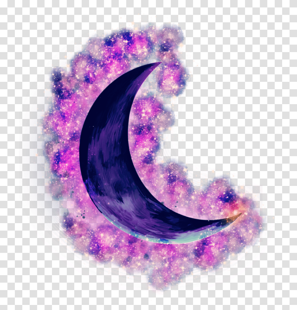 Galaxy Moon Blue Purple Bluemoon Purplemoon Galaxymoon, Pattern, Ornament, Fractal, Animal Transparent Png