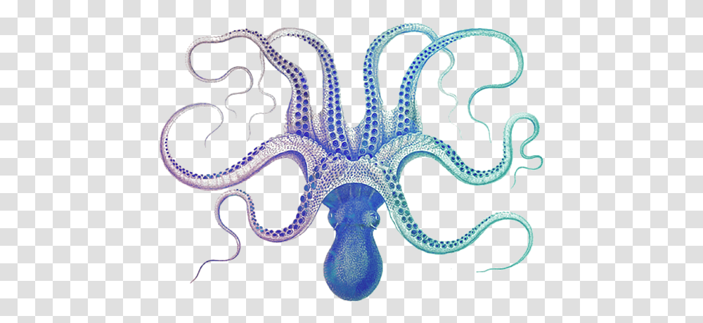 Galaxy Octopus Fleece Blanket Polpo Book, Invertebrate, Sea Life, Animal, Snake Transparent Png