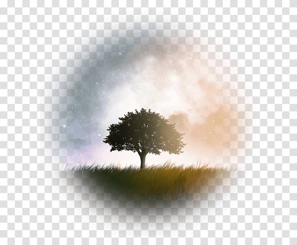 Galaxy Tree Wallpaper Iphone Hd Small Thought For Nature, Plant, Moon, Outer Space, Night Transparent Png
