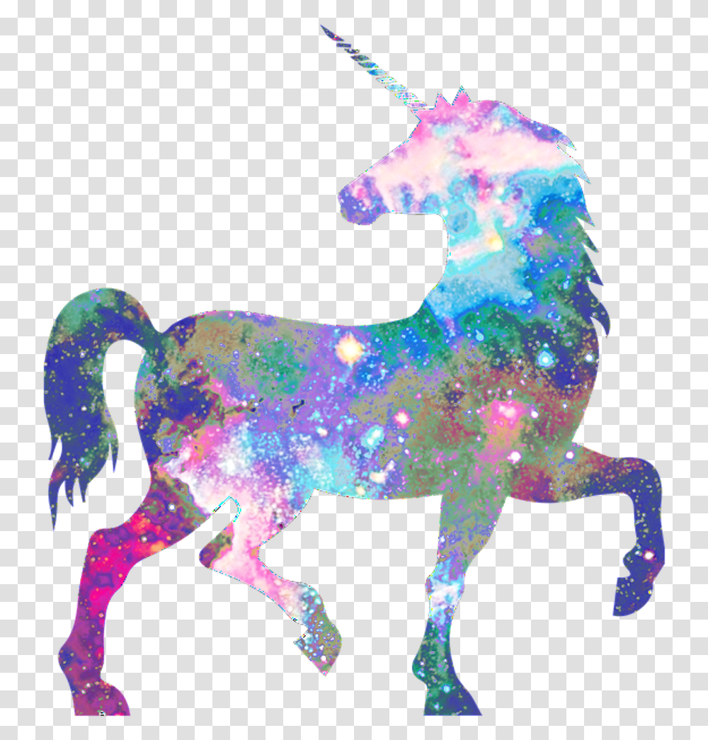 Galaxy Unicorn Hd Cartoon Unicorn, Mammal, Animal, Horse, Sea Life Transparent Png