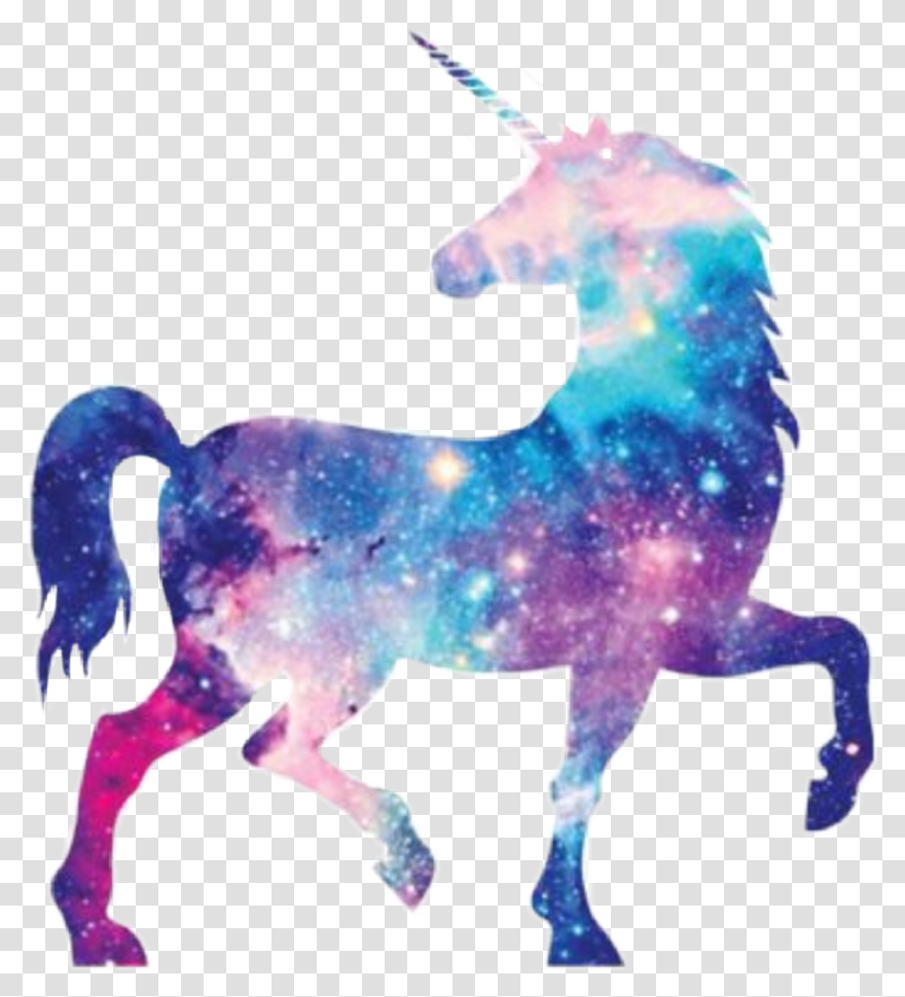 Galaxy Unicorn Unicorn, Mammal, Animal, Horse, Colt Horse Transparent Png