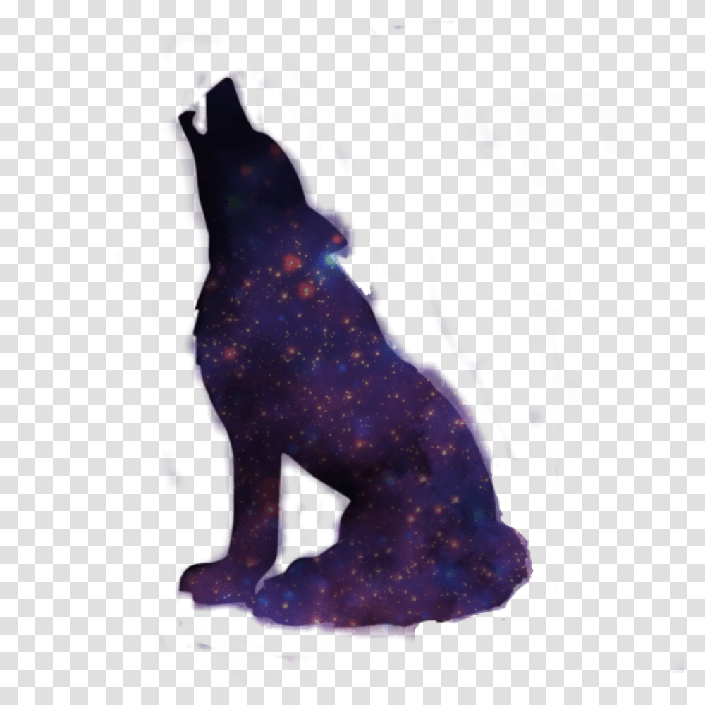 Galaxy Wolf Howling Black Wolf Shadow, Lighting, Nature Transparent Png