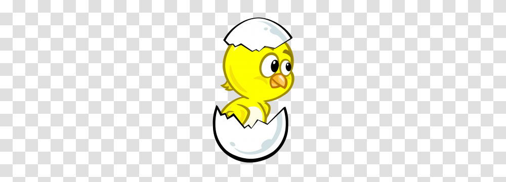 Galinha Pintadinha Pintinho Ovo Gallina Pintadita, Helmet, Apparel, Animal Transparent Png