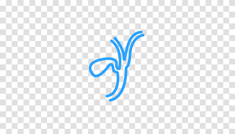 Gallbladder Pancreas Icon With And Vector Format For Free, Logo, Trademark Transparent Png