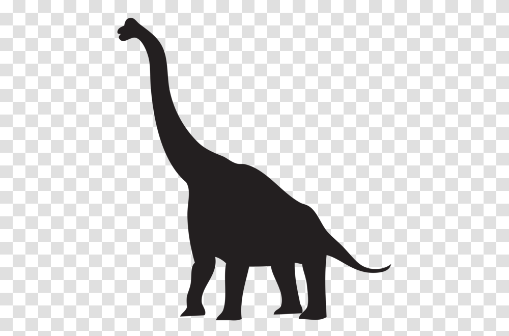 Gallery, Animal, Dinosaur, Reptile, T-Rex Transparent Png