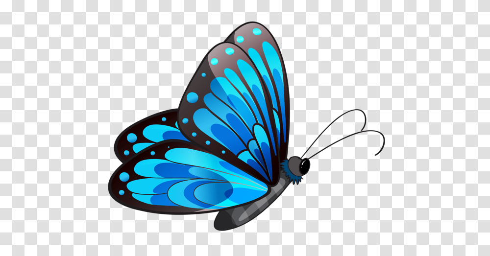 Gallery, Animal, Insect, Invertebrate, Butterfly Transparent Png