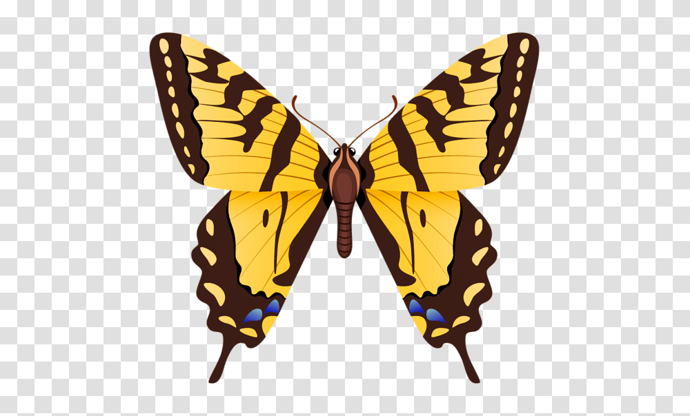 Gallery, Butterfly, Insect, Invertebrate, Animal Transparent Png