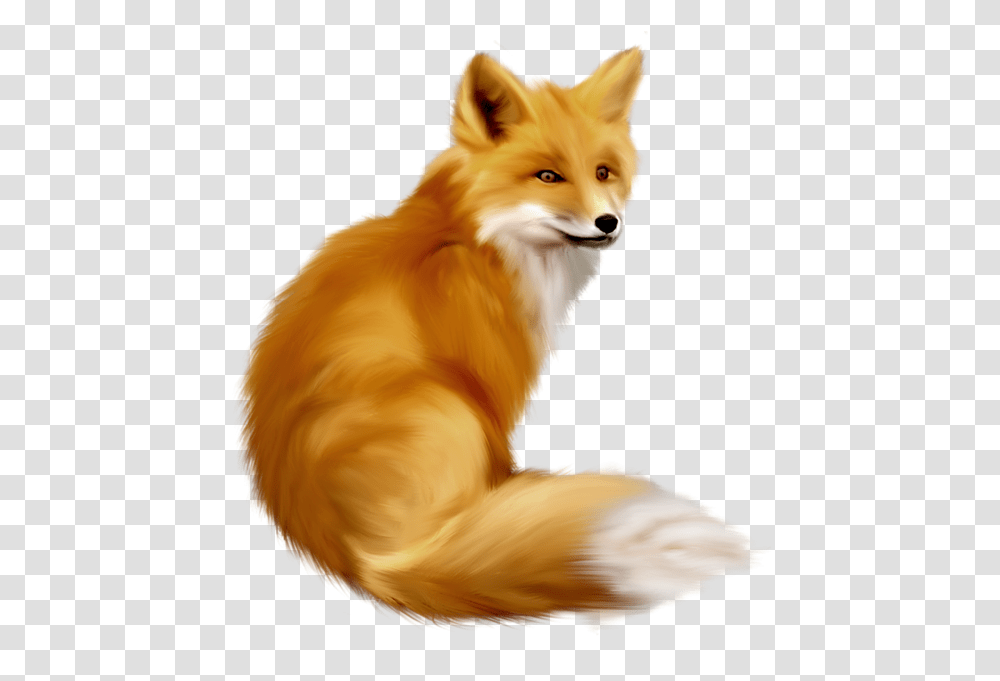 Gallery Free Clipart Picture Fox Clipart, Dog, Pet, Canine, Animal Transparent Png