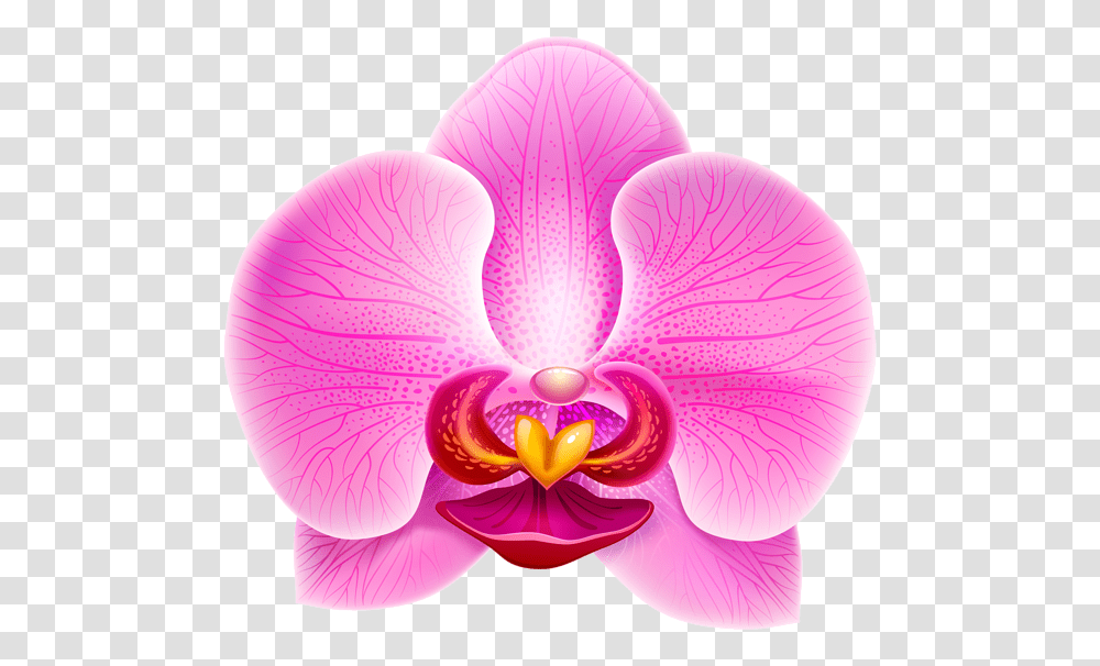 Gallery Free Pictures Pink Orchid Flower Clipart, Plant, Blossom Transparent Png