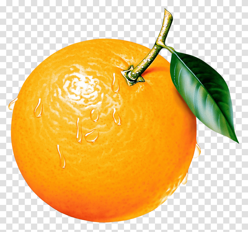 Gallery Free Picture... Fruit Orange Pictu... Image Orange Clipart, Citrus Fruit, Plant, Food, Grapefruit Transparent Png