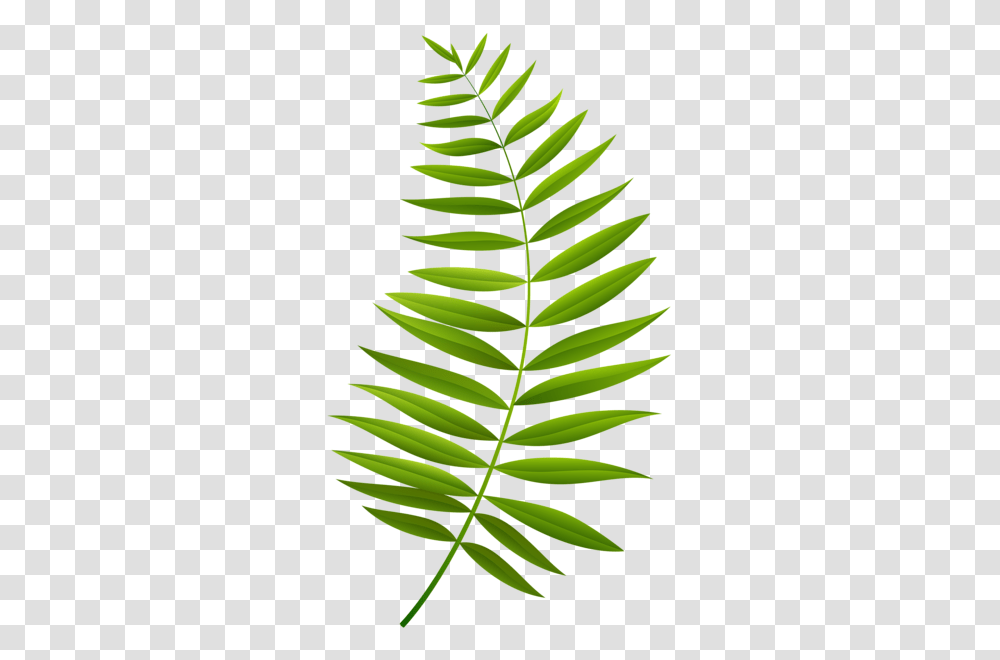 Gallery, Green, Leaf, Plant, Pineapple Transparent Png