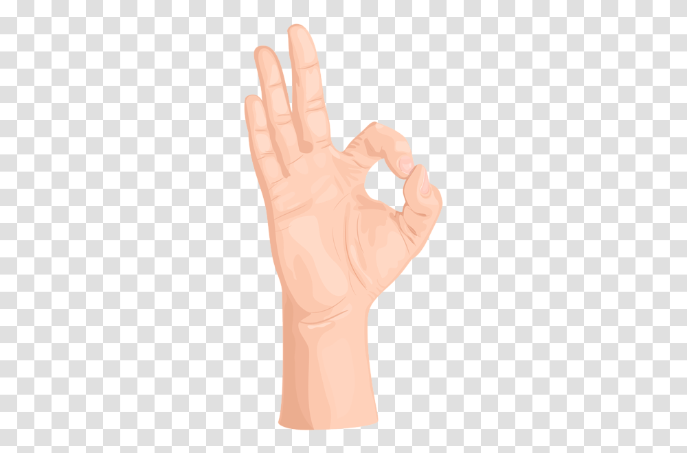 Gallery, Hand, Wrist, Person, Human Transparent Png