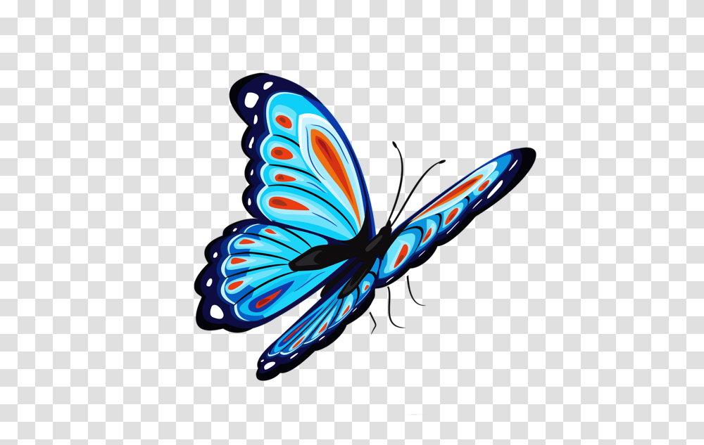 Gallery, Insect, Invertebrate, Animal, Bird Transparent Png