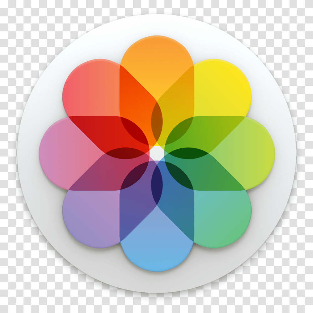 Gallery Ios Icon, Soccer Ball, Team Sport Transparent Png