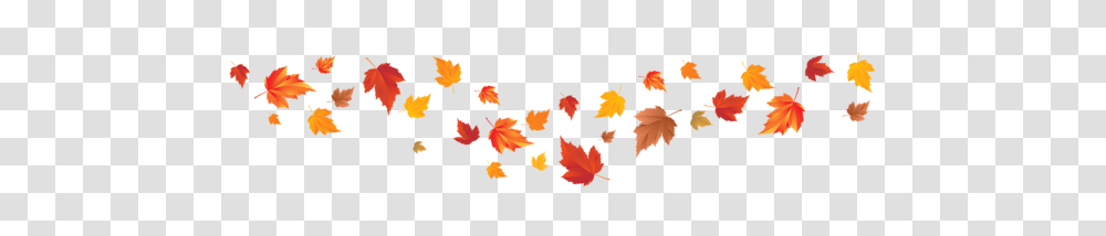 Gallery, Leaf, Plant, Tree, Maple Transparent Png
