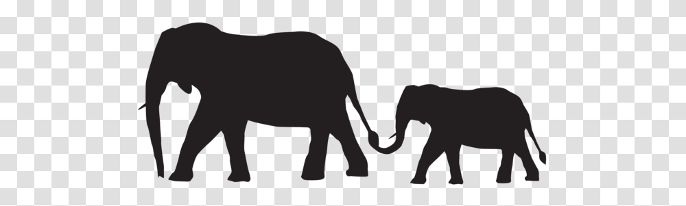 Gallery, Mammal, Animal, Wildlife, Elephant Transparent Png