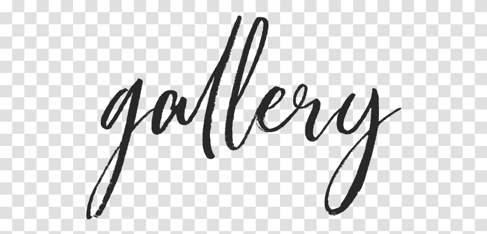 Gallery Pictures Of Designer Eyebrows And Lashes In Calligraphy, Handwriting, Letter, Label Transparent Png