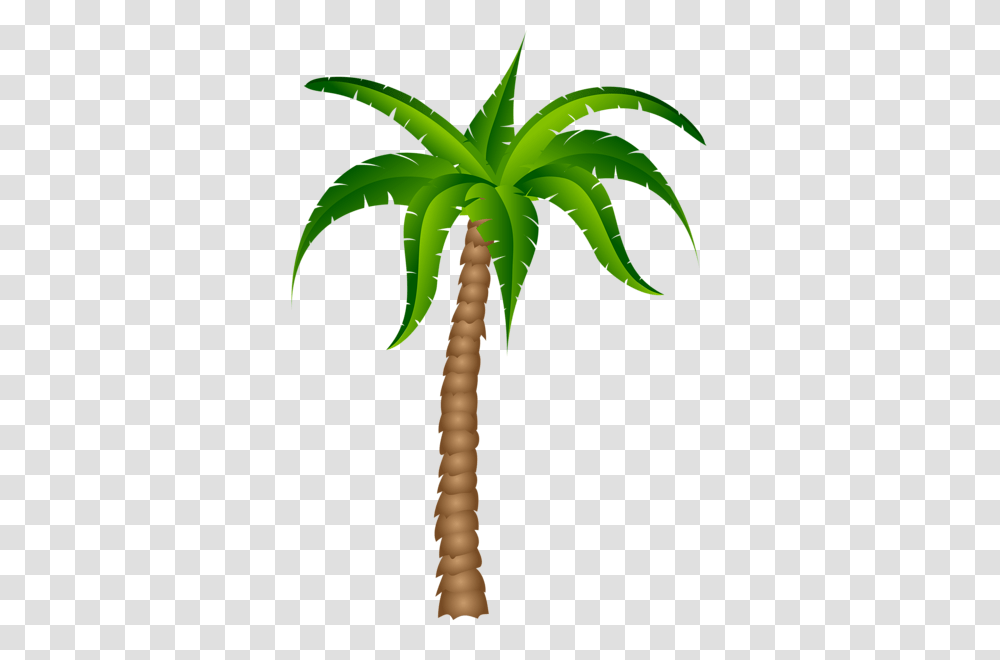 Gallery, Plant, Palm Tree, Arecaceae, Banana Transparent Png