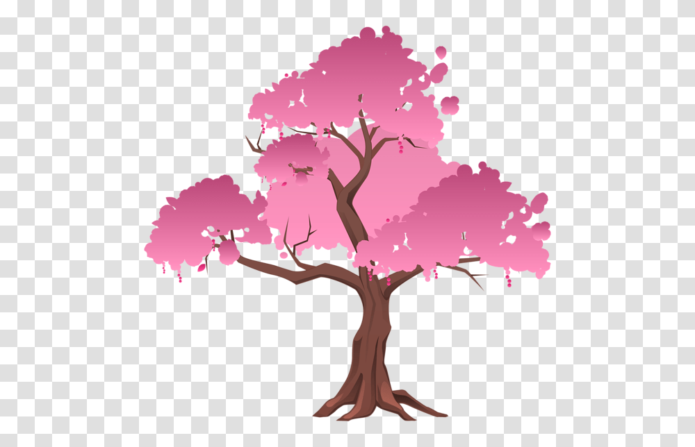 Gallery, Plant, Tree, Flower, Blossom Transparent Png