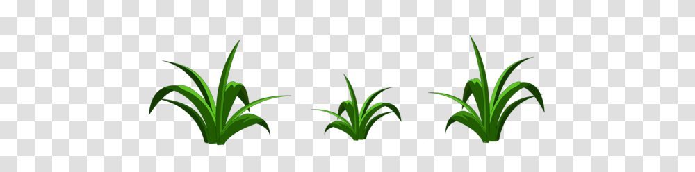 Gallery, Plant, Vegetation, Outdoors, Flower Transparent Png