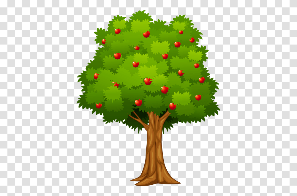 Gallery, Tree, Plant, Christmas Tree, Ornament Transparent Png