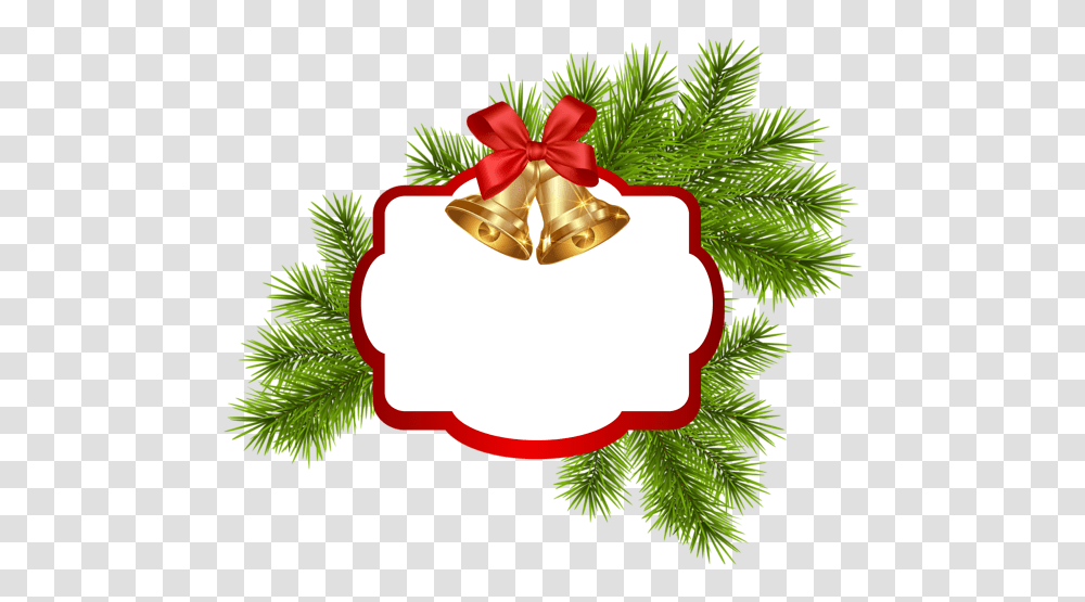 Gallery, Tree, Plant, Gift, Conifer Transparent Png