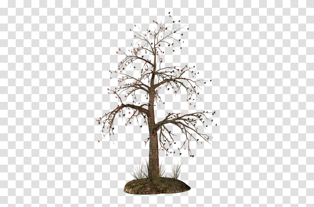 Gallery, Tree, Plant, Tree Trunk, Nature Transparent Png