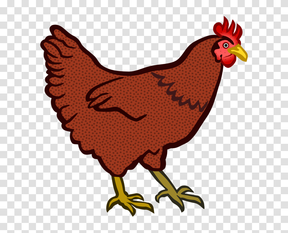 Galliformes Cochin Chicken The Little Red Hen Computer Icons Free, Animal, Poultry, Fowl, Bird Transparent Png