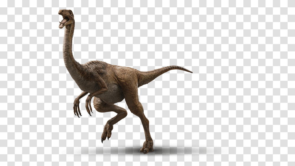 Gallimimus Jurassic World Evolution Dinosaurs, Animal, Reptile, T-Rex, Antelope Transparent Png
