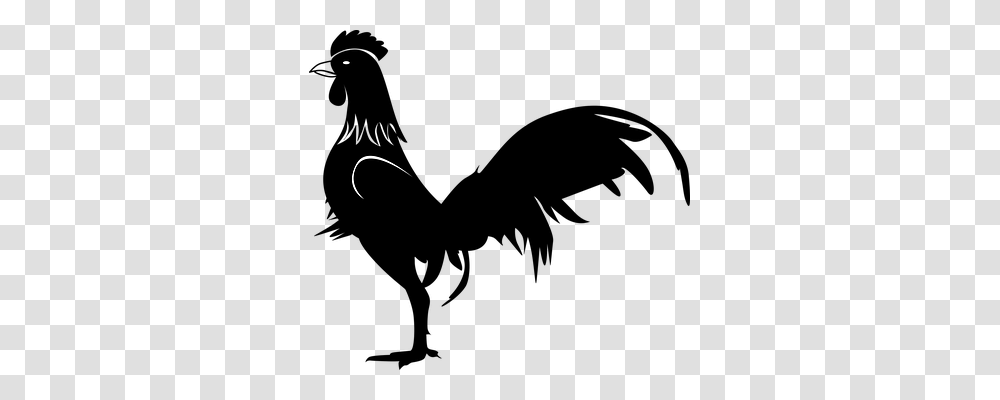 Gallo Animals, Nature, Outdoors, Astronomy Transparent Png