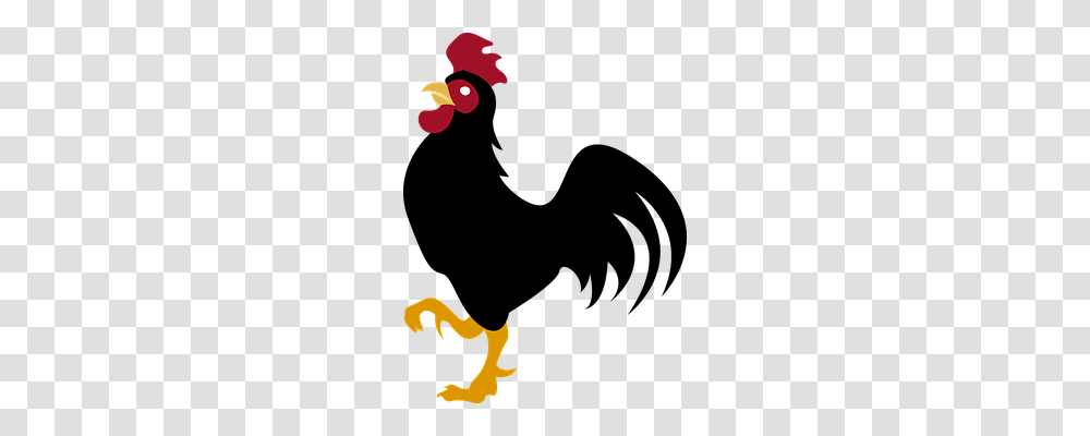 Gallo Animals, Poster, Advertisement Transparent Png