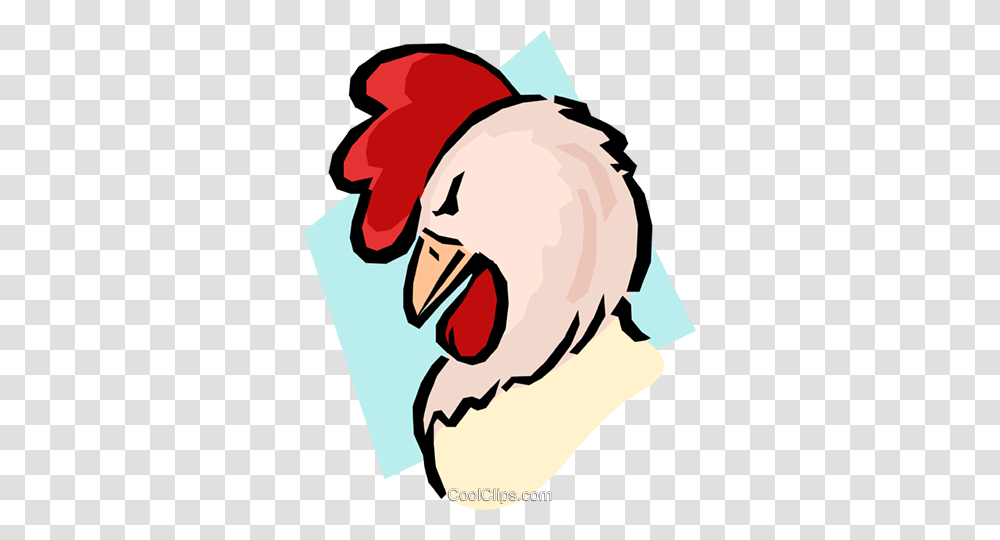 Gallo De Dibujos Animados Libres De Derechos Ilustraciones De, Poultry, Fowl, Bird, Animal Transparent Png