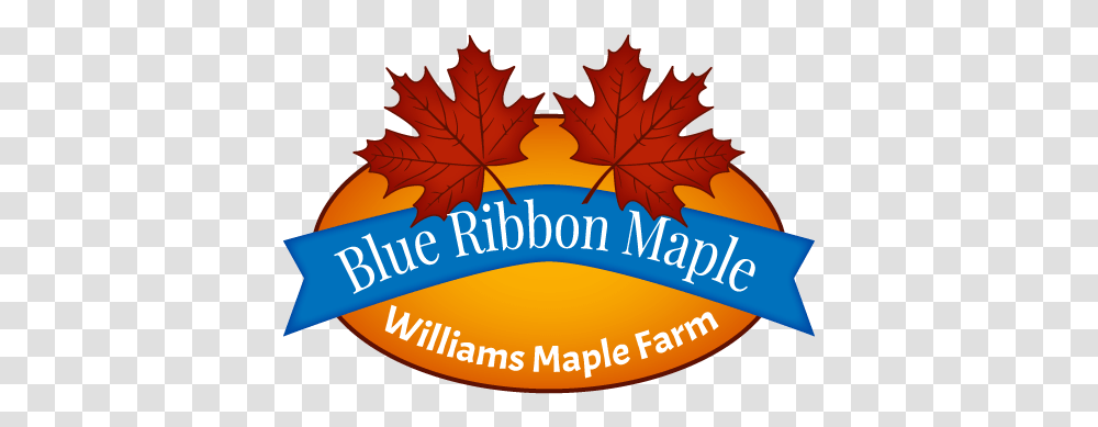 Gallon Jug Blue Ribbon Maple Label, Leaf, Plant, Tree, Maple Leaf Transparent Png