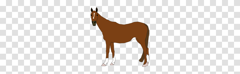 Gallop Along With Free Horse Clip Art, Mammal, Animal, Colt Horse, Foal Transparent Png