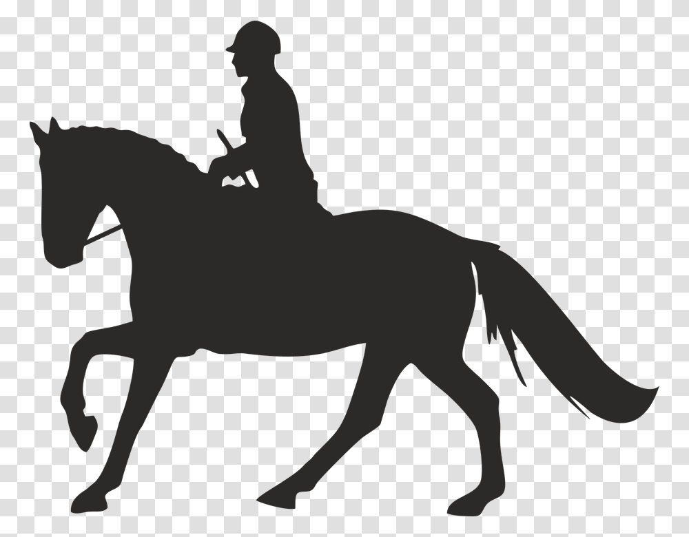 Galloping Horse And Rider Silhouette, Person, Human, Animal, Mammal Transparent Png