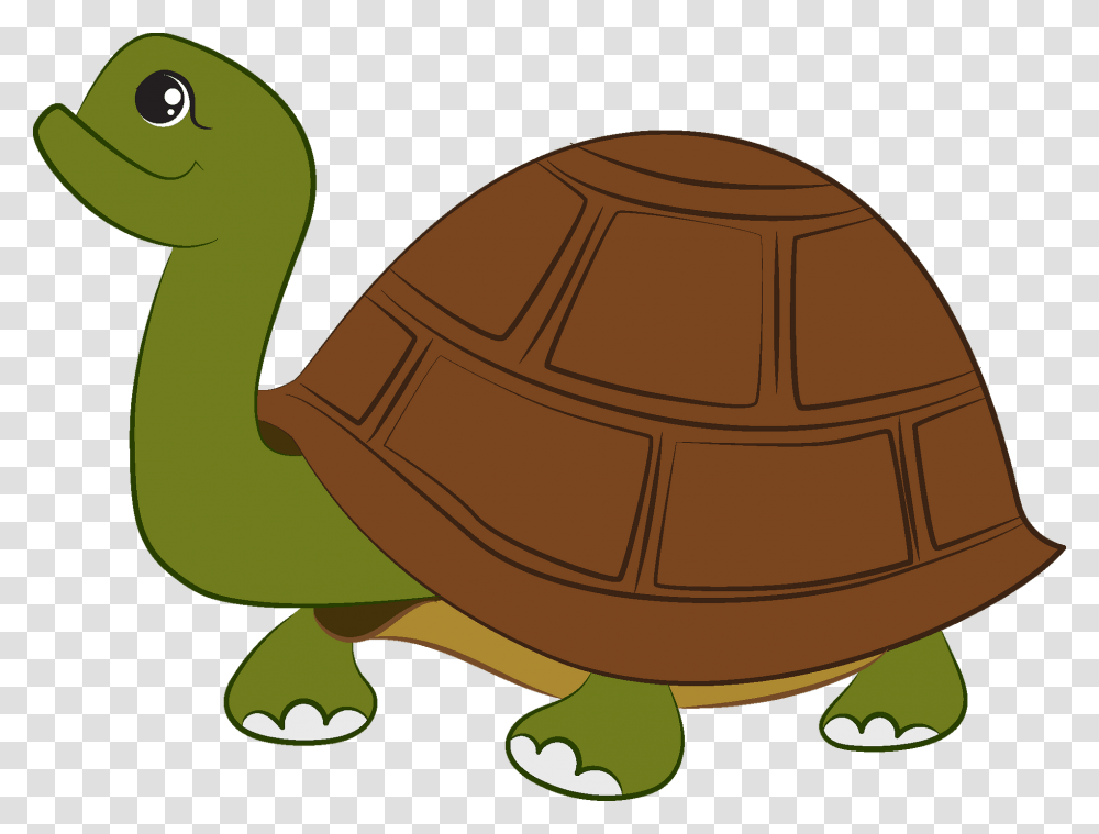 Galpagos Tortoise, Animal, Turtle, Reptile, Sea Life Transparent Png