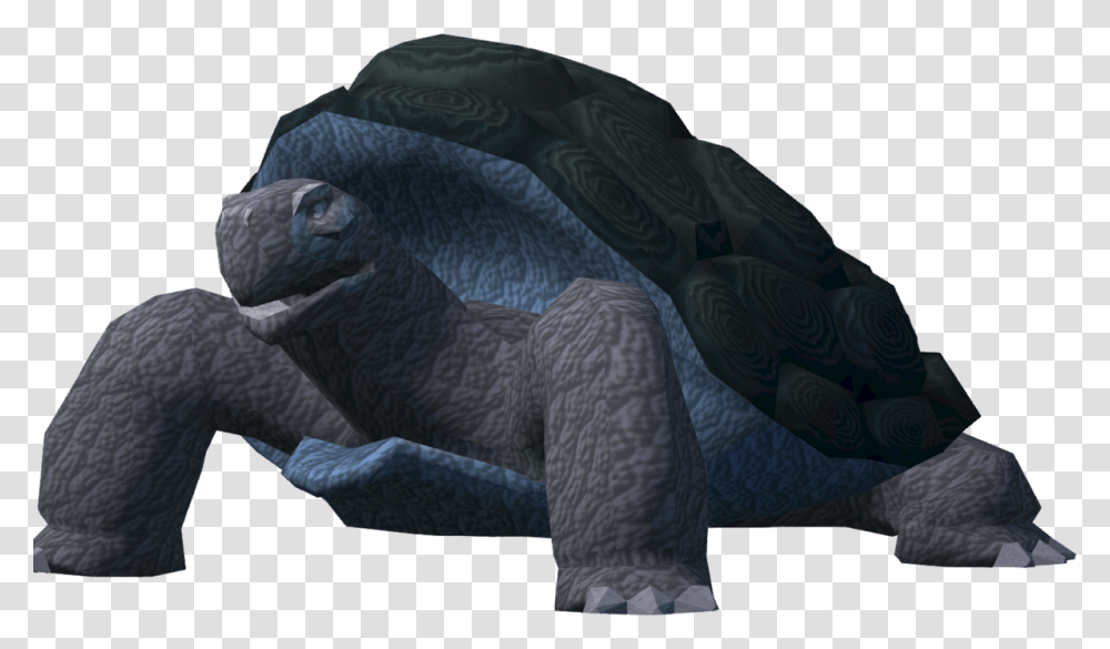 Galpagos Tortoise, Blanket, Statue, Sculpture Transparent Png