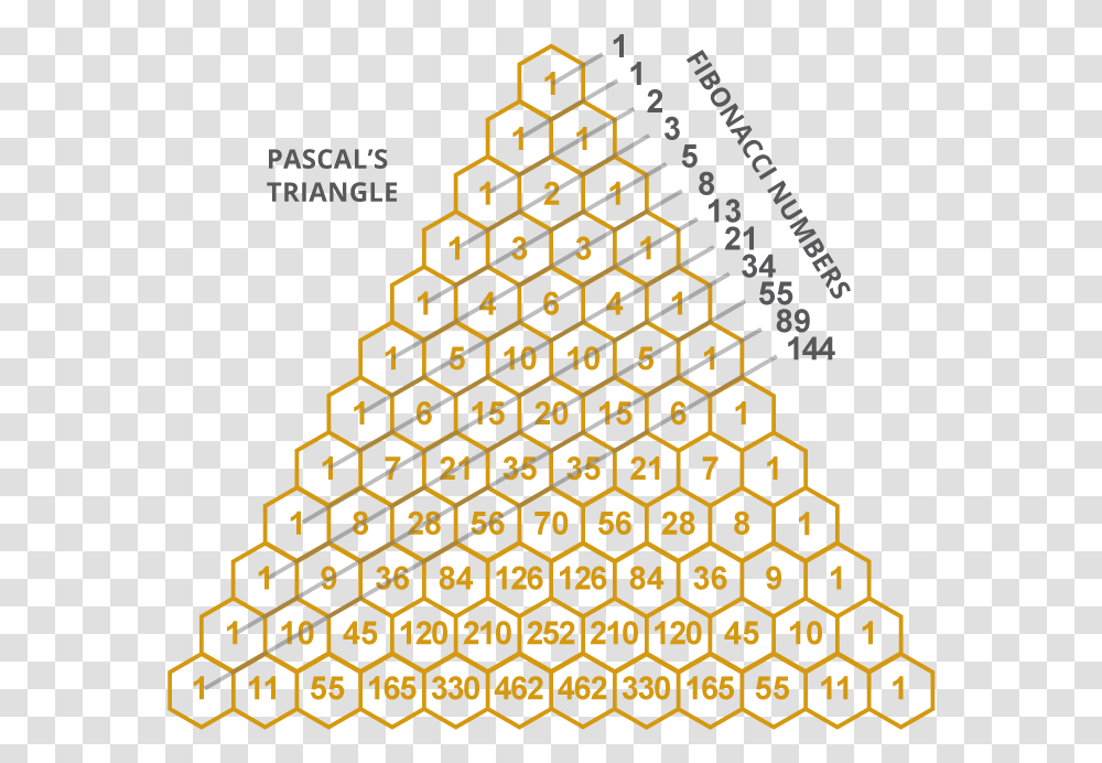 Galton Board Pascal's Triangle, Honeycomb, Food, Rug, Pattern Transparent Png
