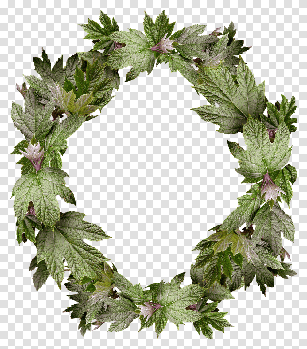 Gambar Bingkai Daun Melingkar, Plant, Wreath, Leaf Transparent Png