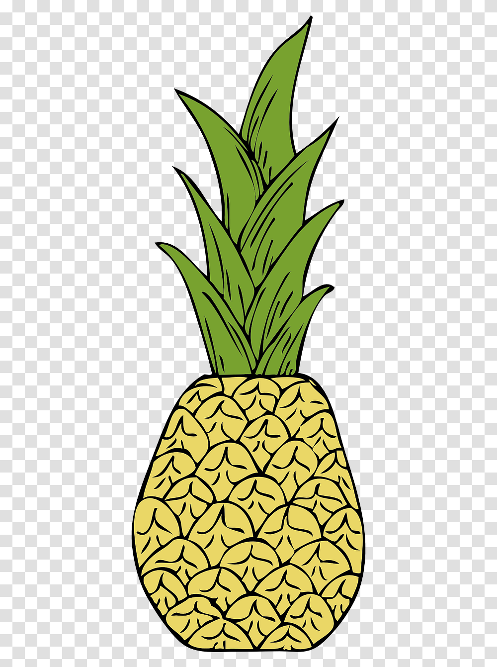 Gambar Daun Nenas Lukisan, Pineapple, Fruit, Plant, Food Transparent Png