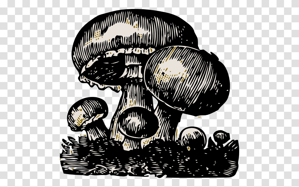 Gambar Jamur Kartun Keren, Plant, Agaric, Mushroom, Fungus Transparent Png