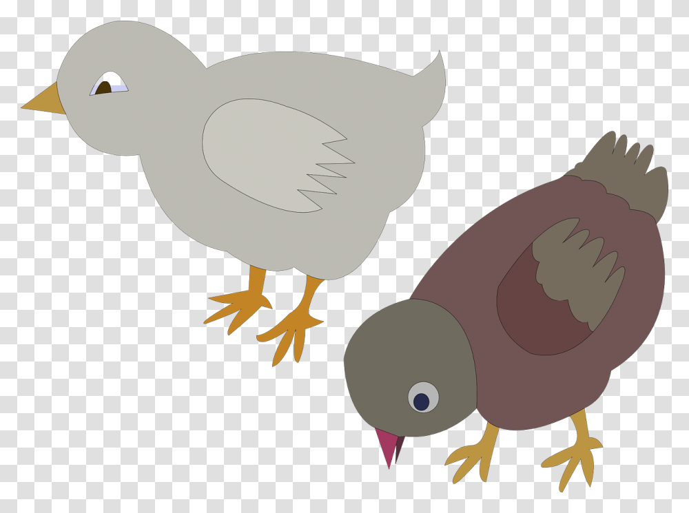 Gambar Sketsa Anak Ayam, Animal, Bird, Dodo, Partridge Transparent Png