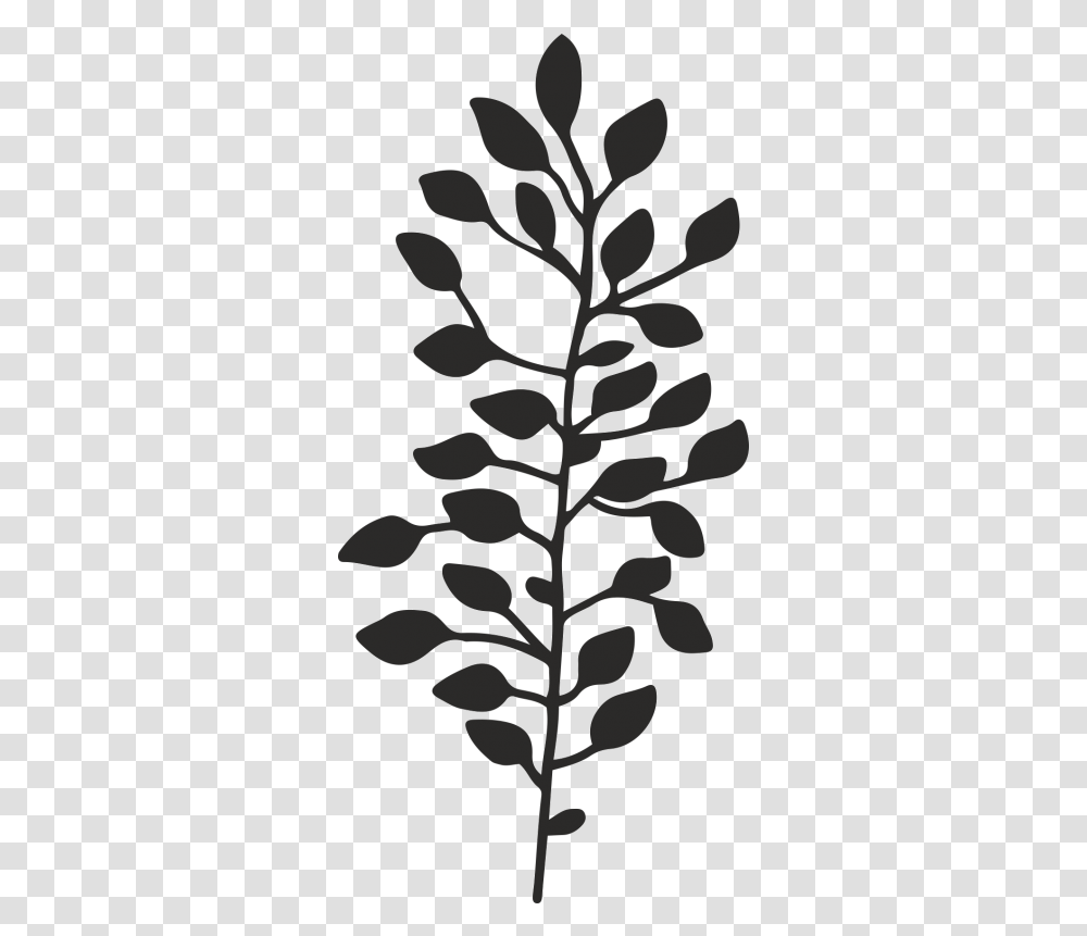 Gambel Oak, Plant, Tree, Stencil, Flower Transparent Png