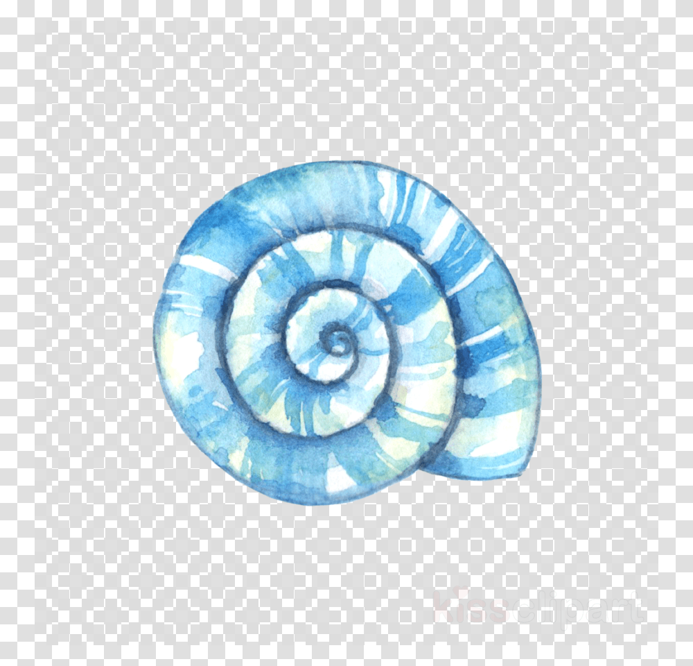 Game Coin, Invertebrate, Animal, Sea Life, Seashell Transparent Png