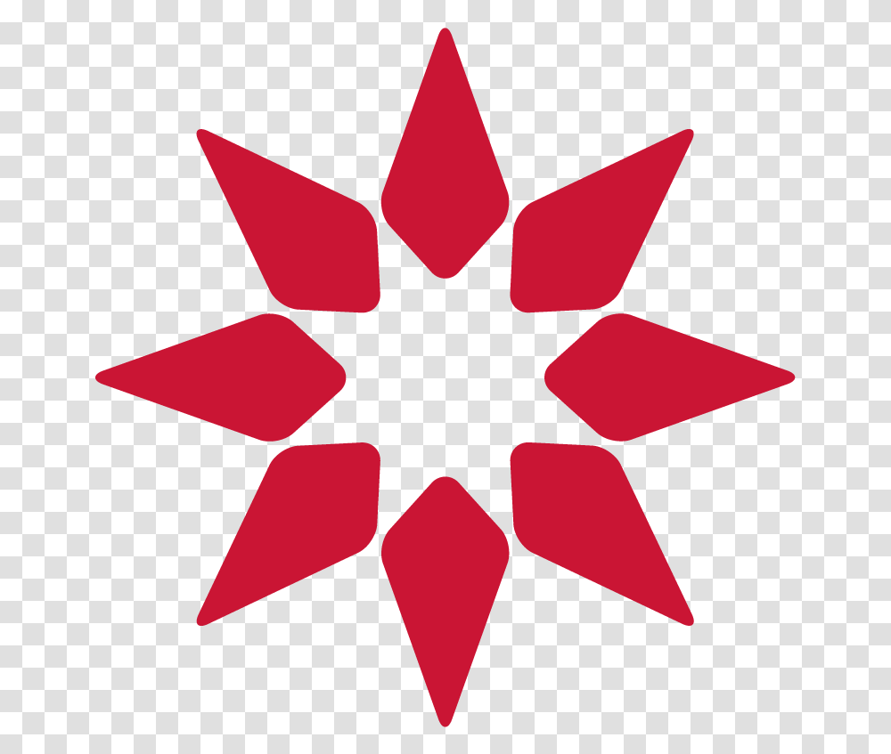 Game Surplus Icon Langports Australia, Leaf, Plant, Star Symbol Transparent Png