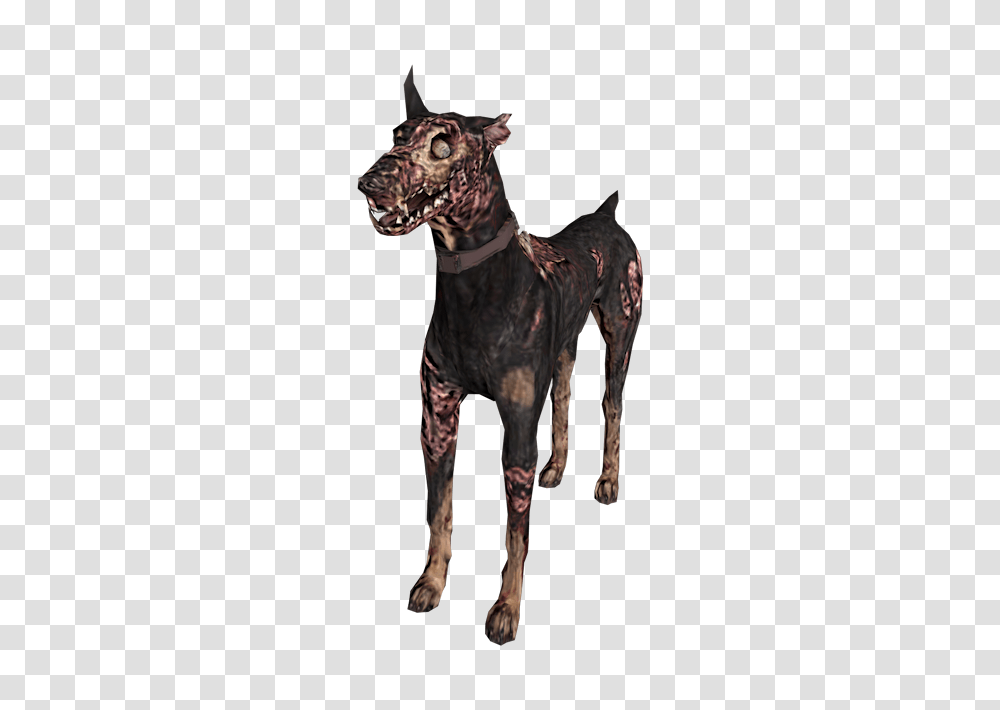 Gamecube, Dog, Pet, Canine, Animal Transparent Png