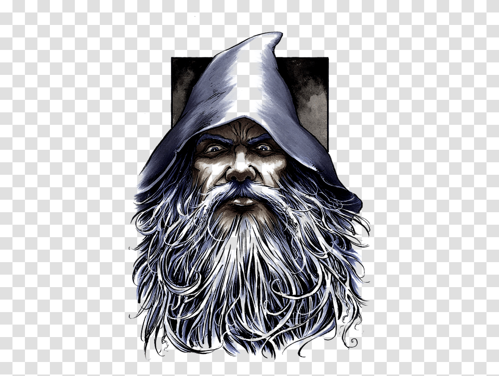 Gandalf, Face, Person, Head, Bird Transparent Png